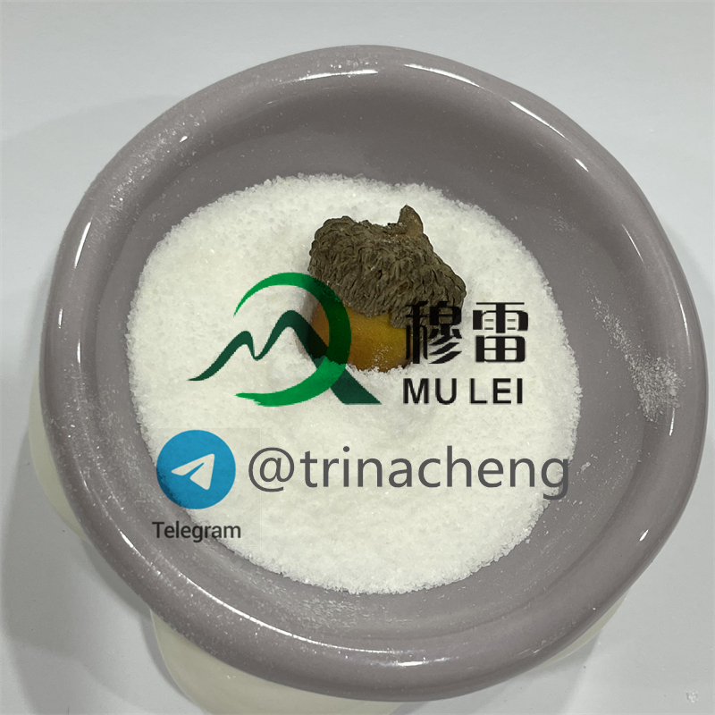 Nootropics Supplements Phenibut Powder / Phenibut HCl CAS 1078-21-3