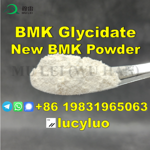 UK Netherlands Spain Wholesale P2P Benzyl Methyl Ketone Bmk Glycidate Powder CAS 5449-12-7 Bulk Price