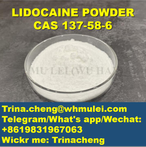 Lidocaine Numbing Medicine Raw Material Lidocaine Raw Powder for Sale CAS 73-78-9