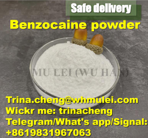 Buy 40- 200 Mesh Benzocaine Powder for Sale in UK with Factory Price CAS 94-09-7